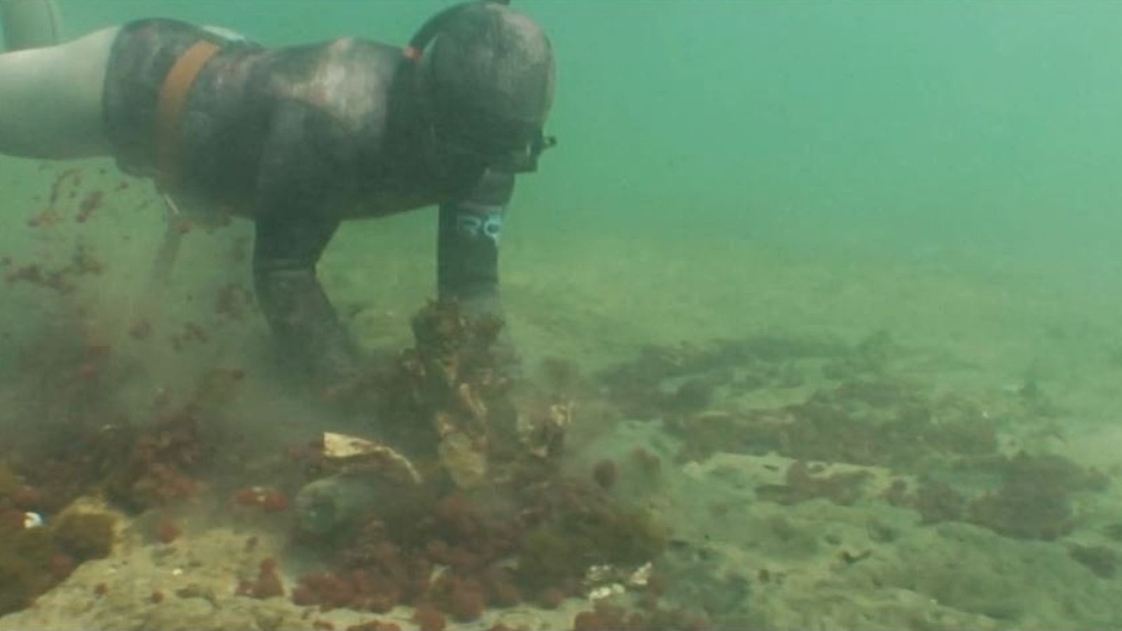 Mare nostrum documental