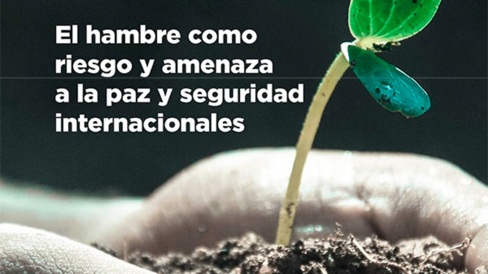 Despierta 16/06/22