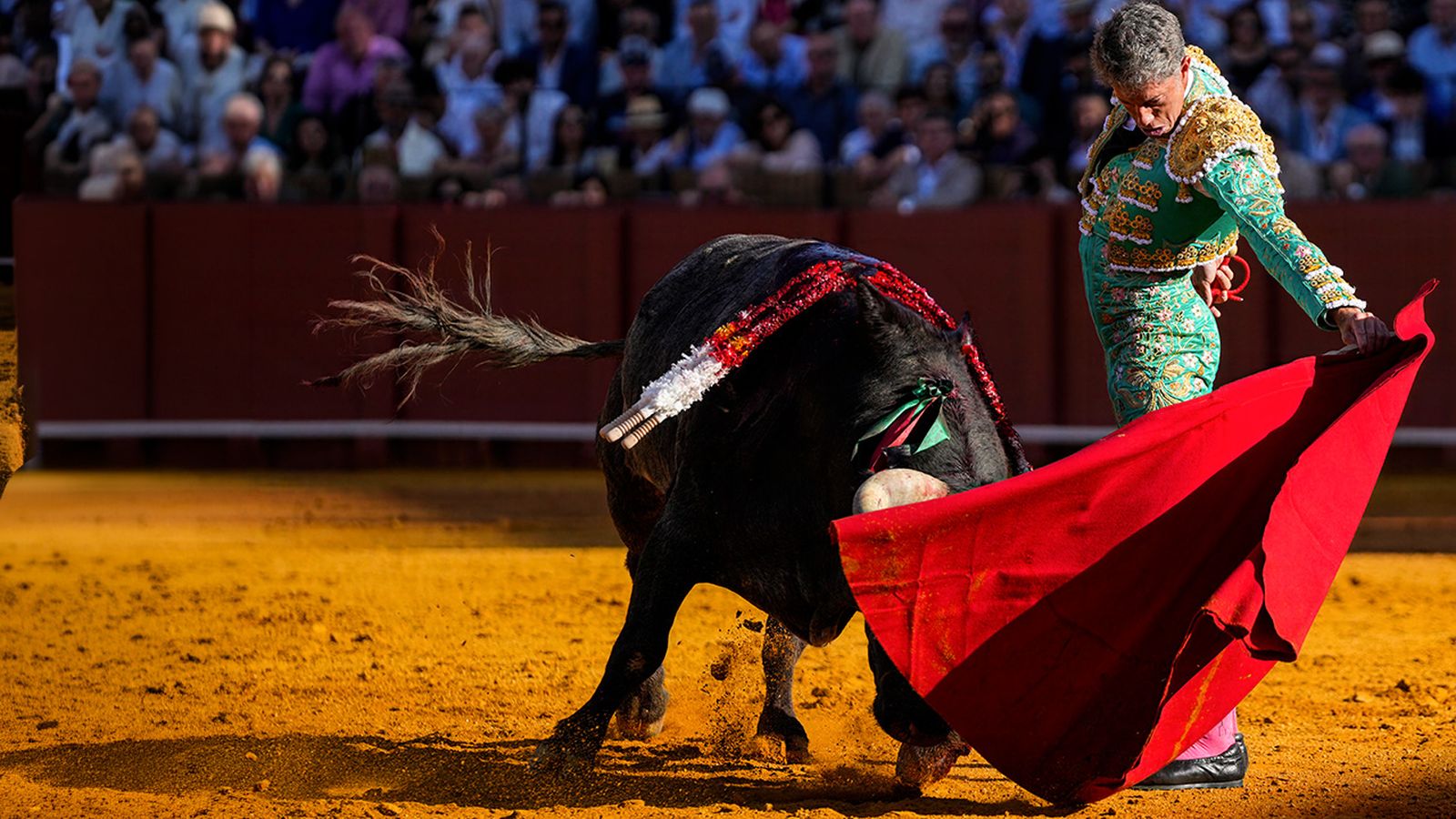 Toros desde Tarifa