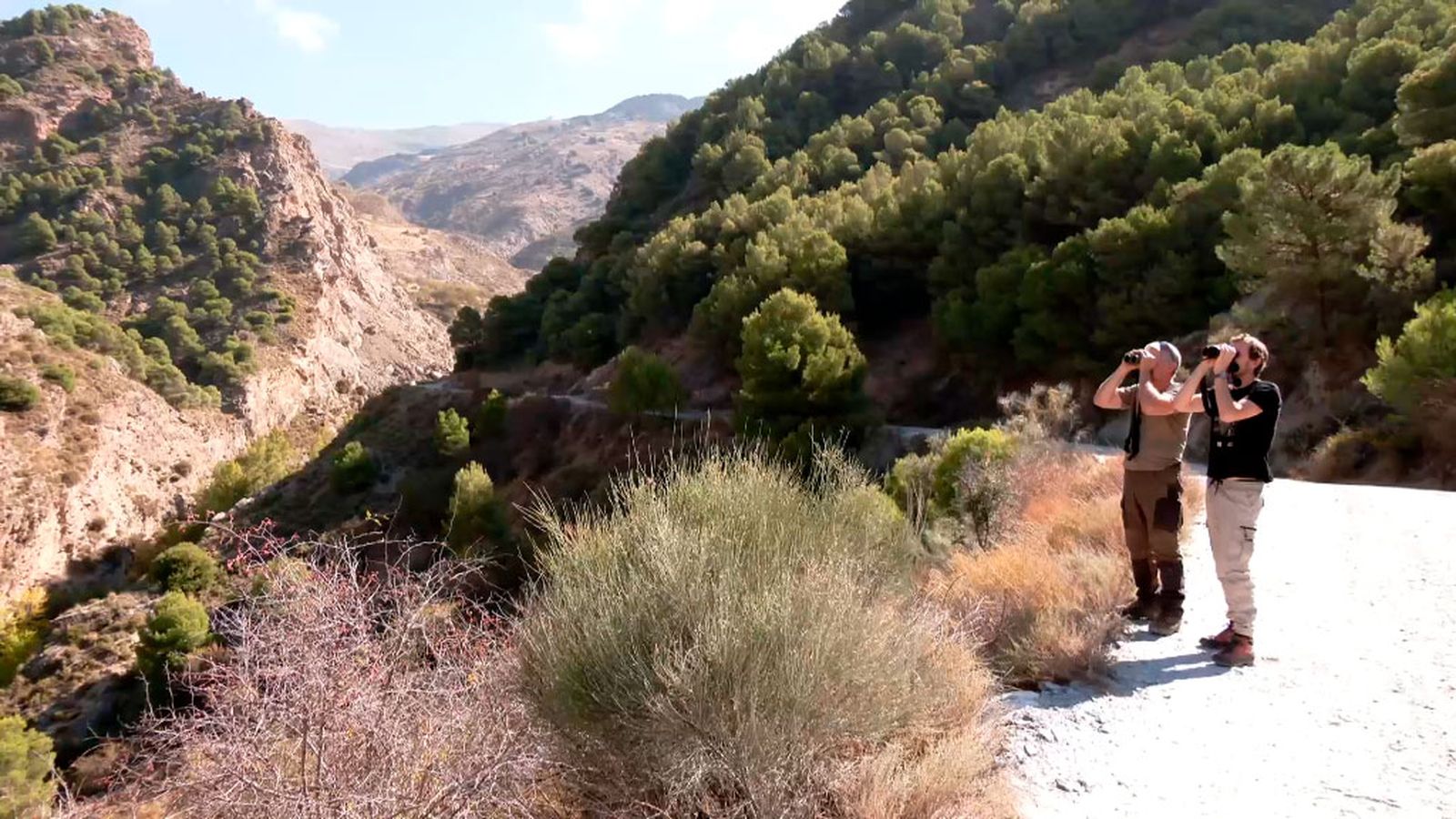 El quebrantahuesos arqueólogo