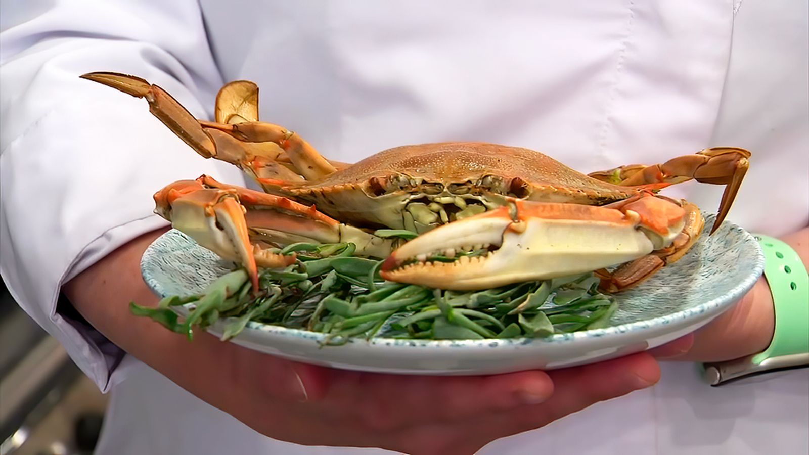 Gastronomía salinera