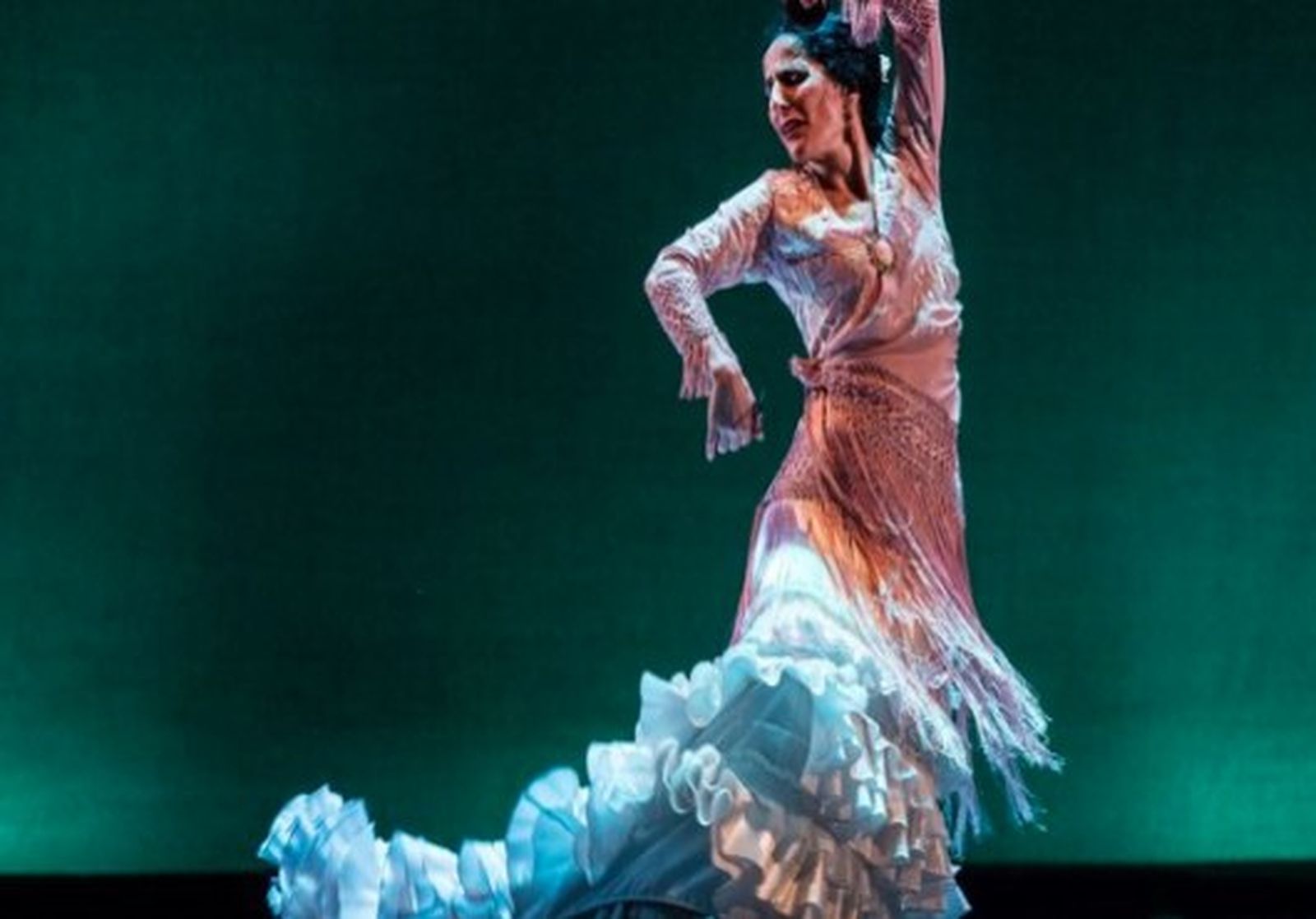 Mercedes Ruiz 530