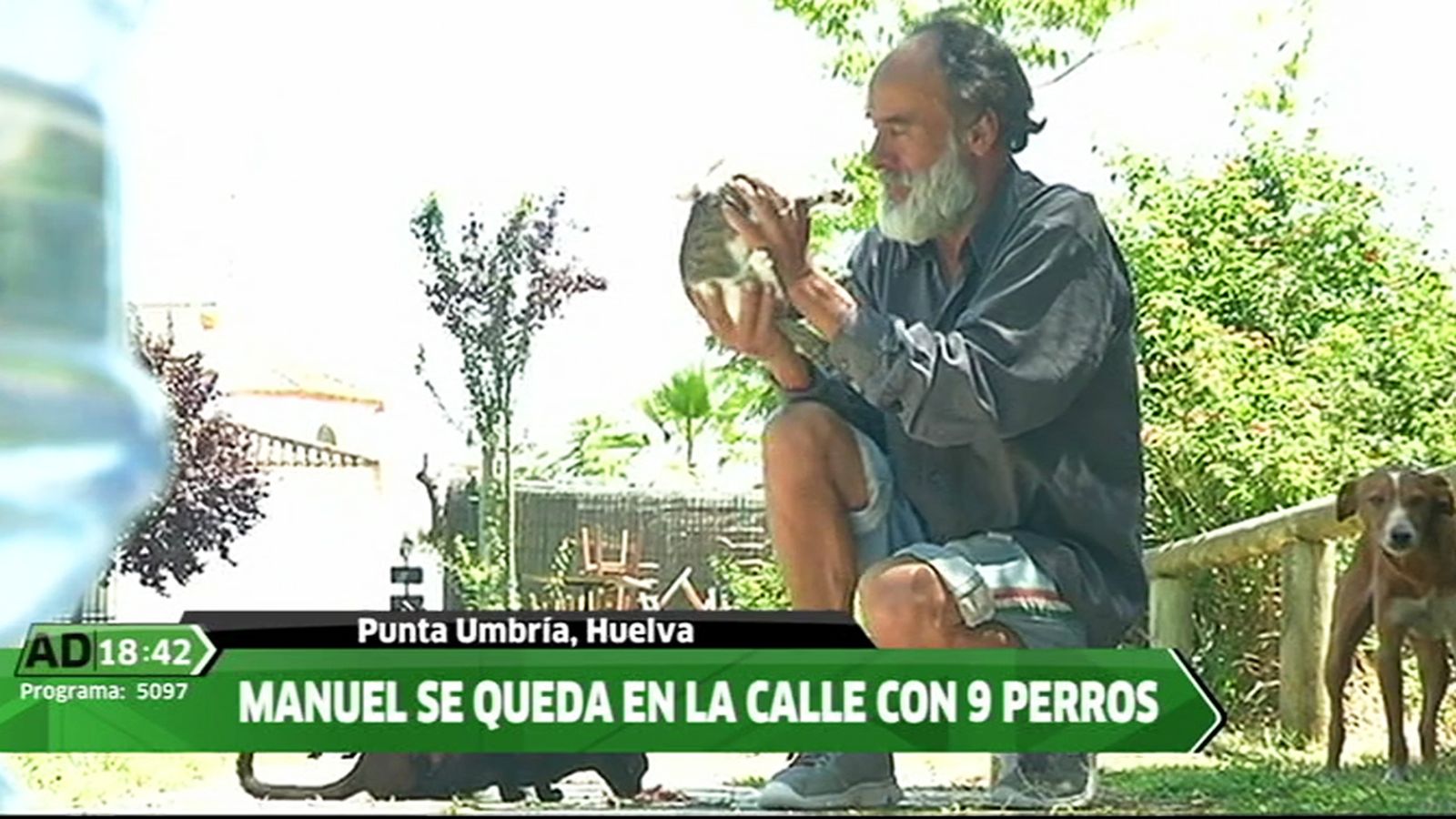 Hogar Manuel perros 1024