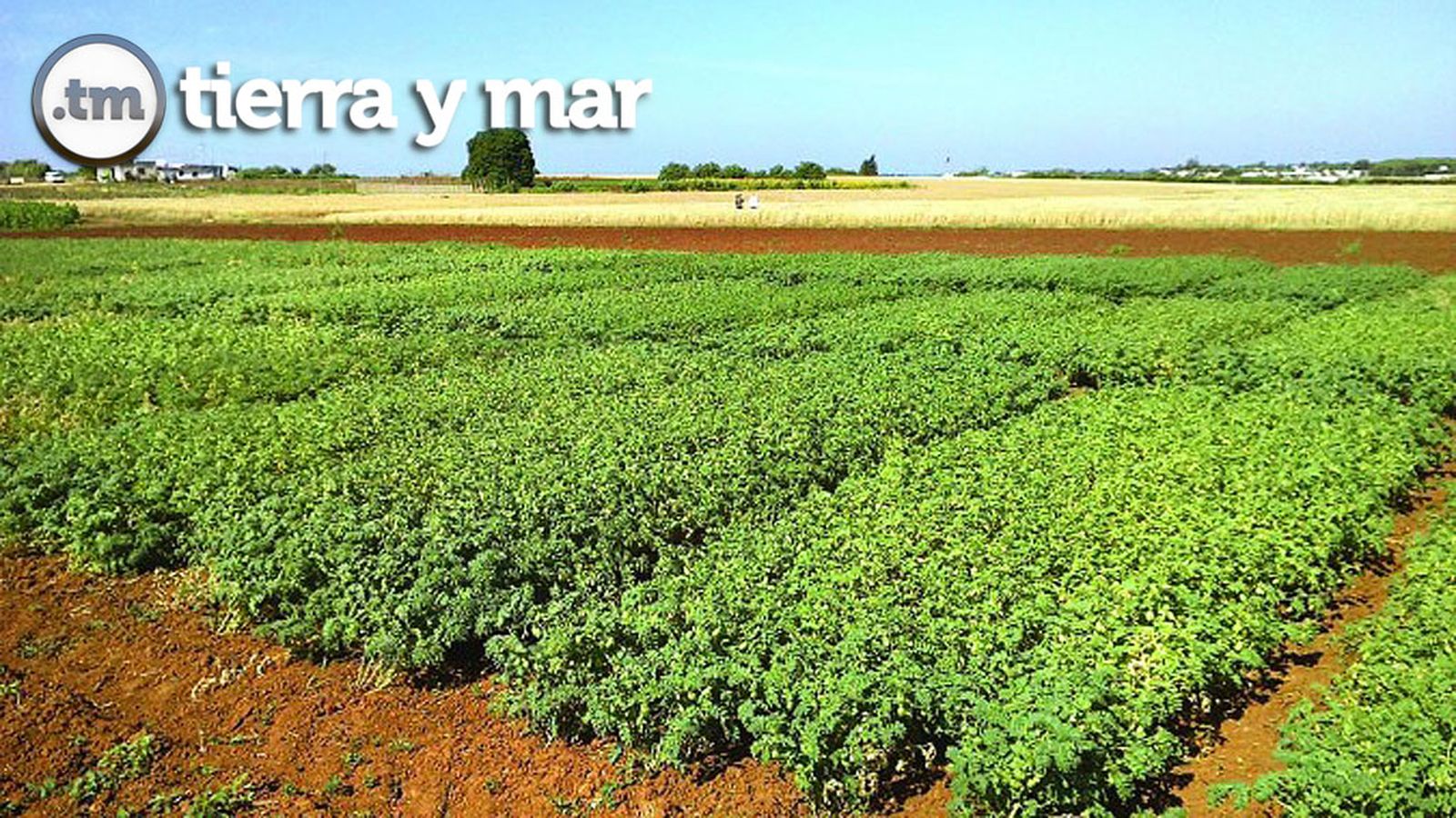Comunicación Tierra Foto