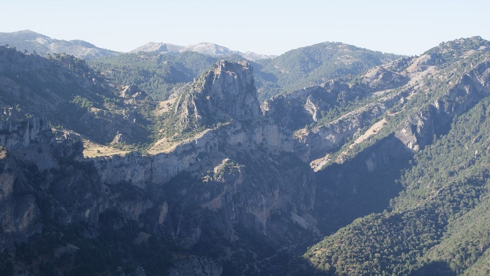 Pico banderillas 1024