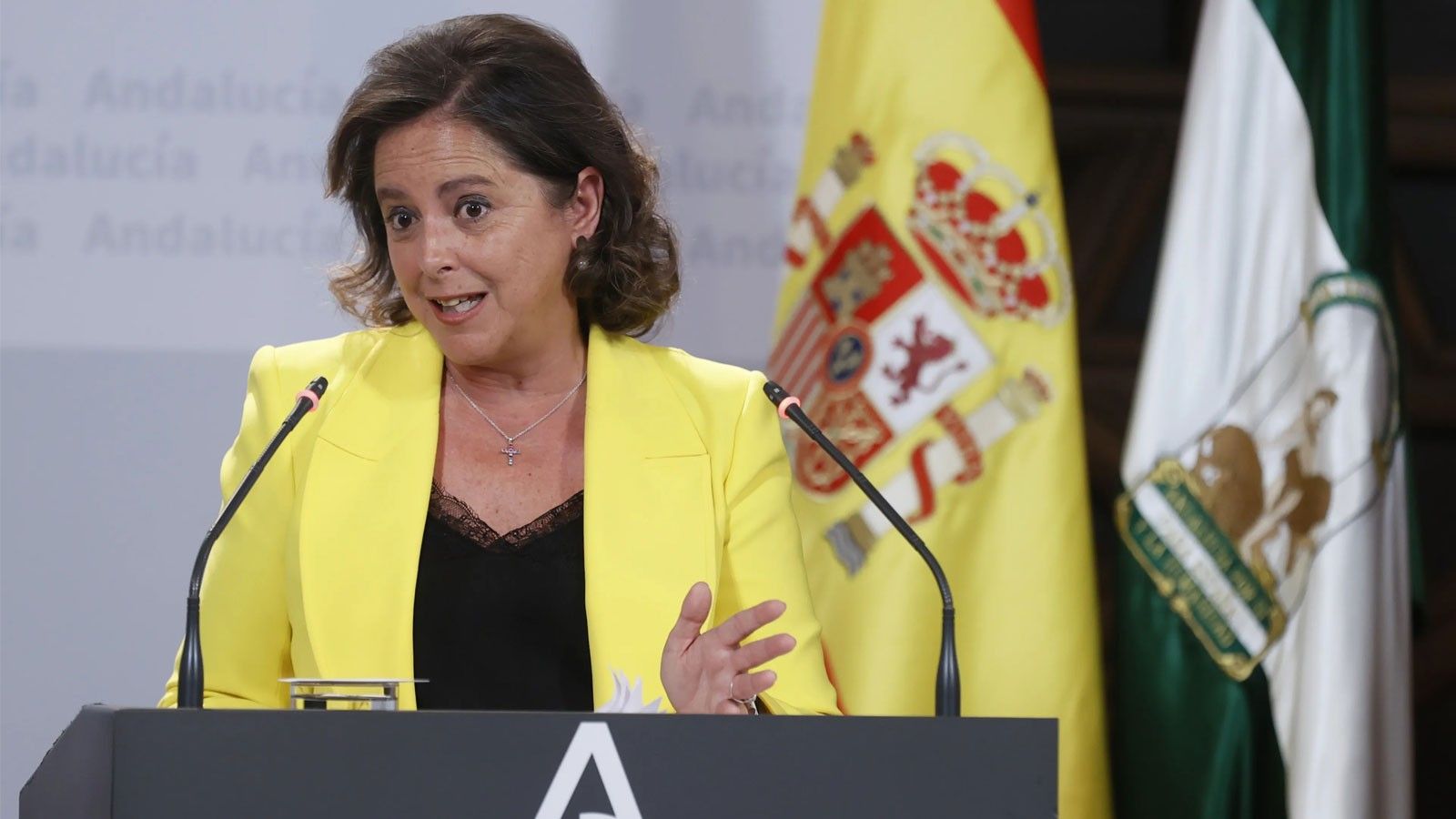 'Esperamos responsabilidad del Gobierno de España sobre El Algarrobico'