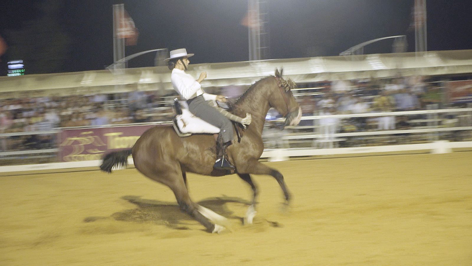Comunicación Todocaballo Todo Caballo 10 de agosto de 2019