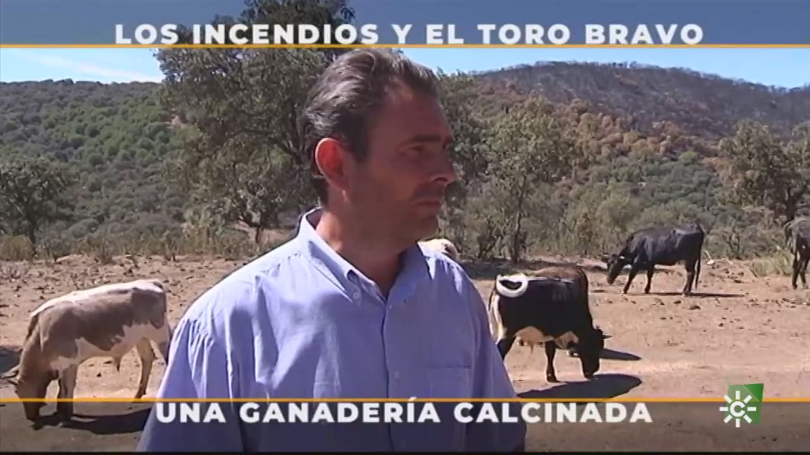 Justo Barba, quizás el ganadero más escaso de recursos del mundo