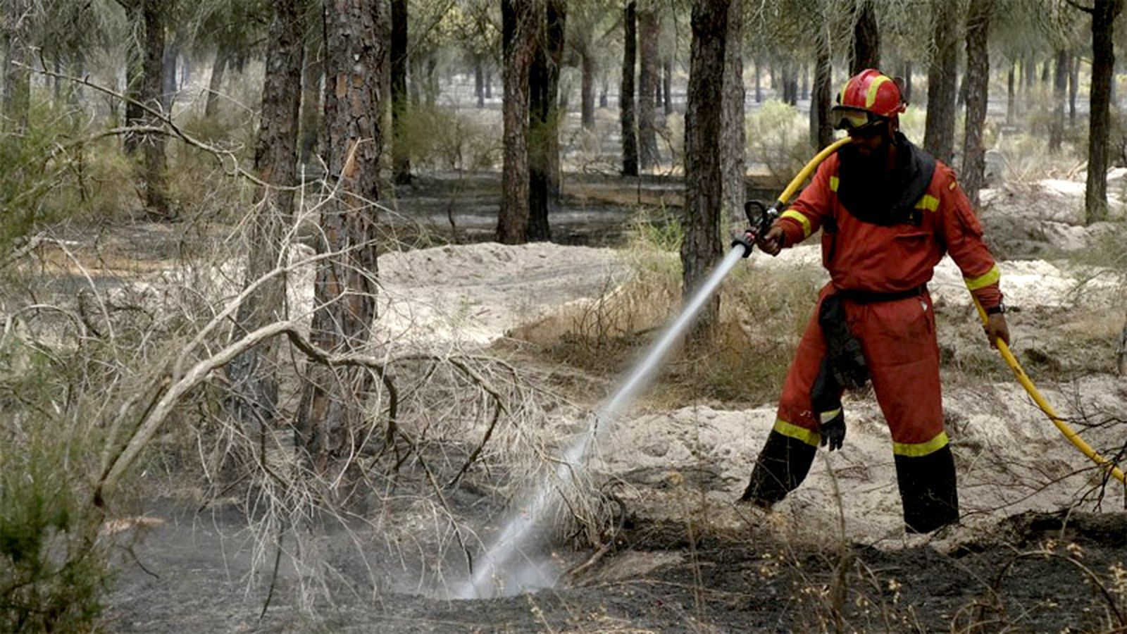 Incendio en Huelva manguera
