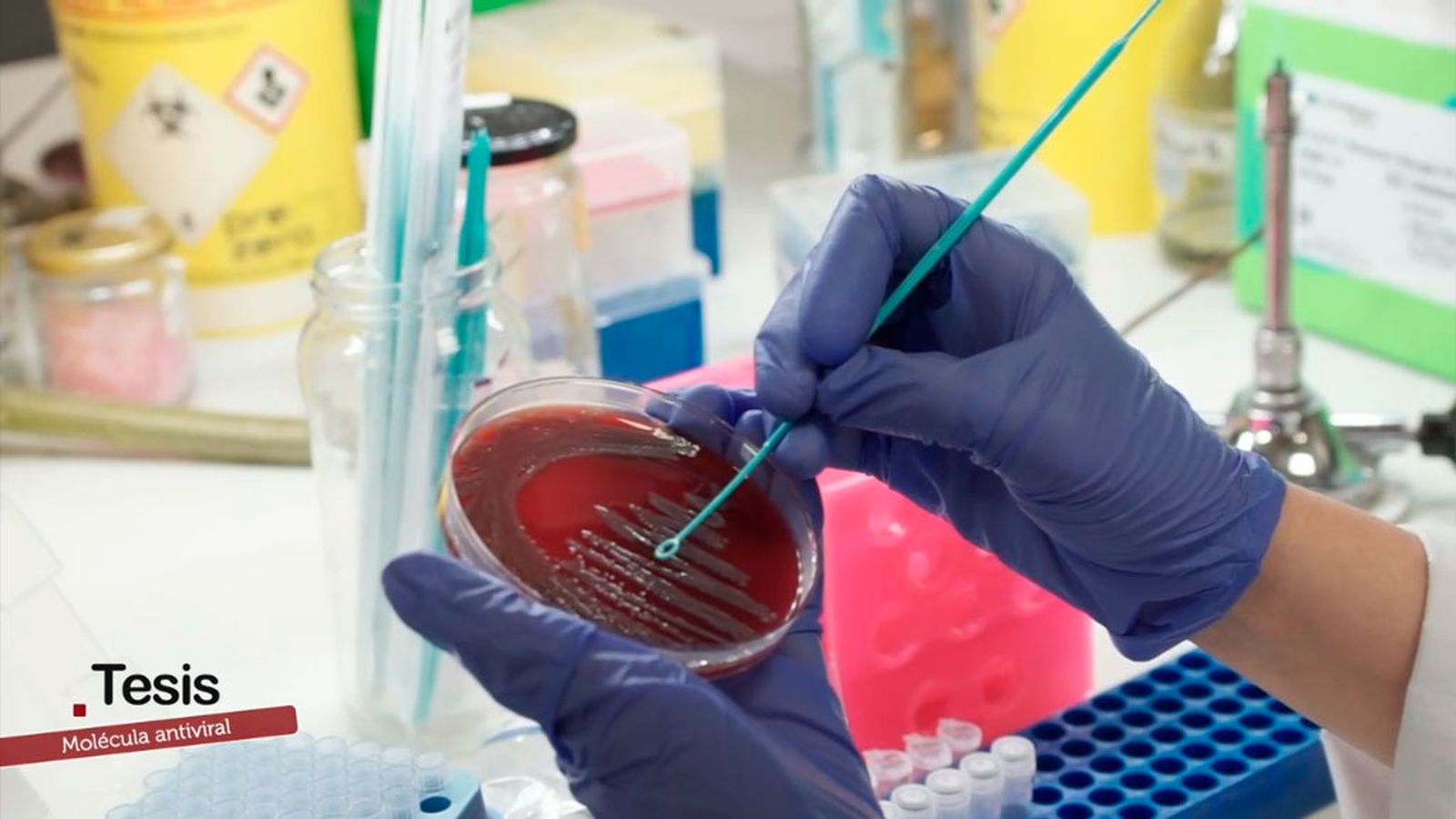 El avance molecular que abre nuevas vías contra los virus