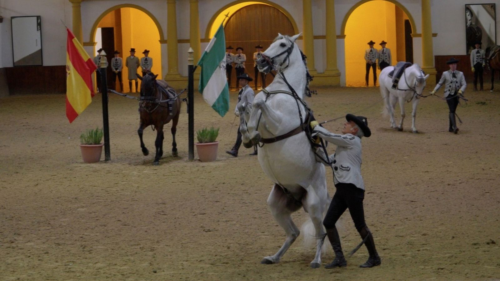 todocaballo jubilación escuela ecuestre