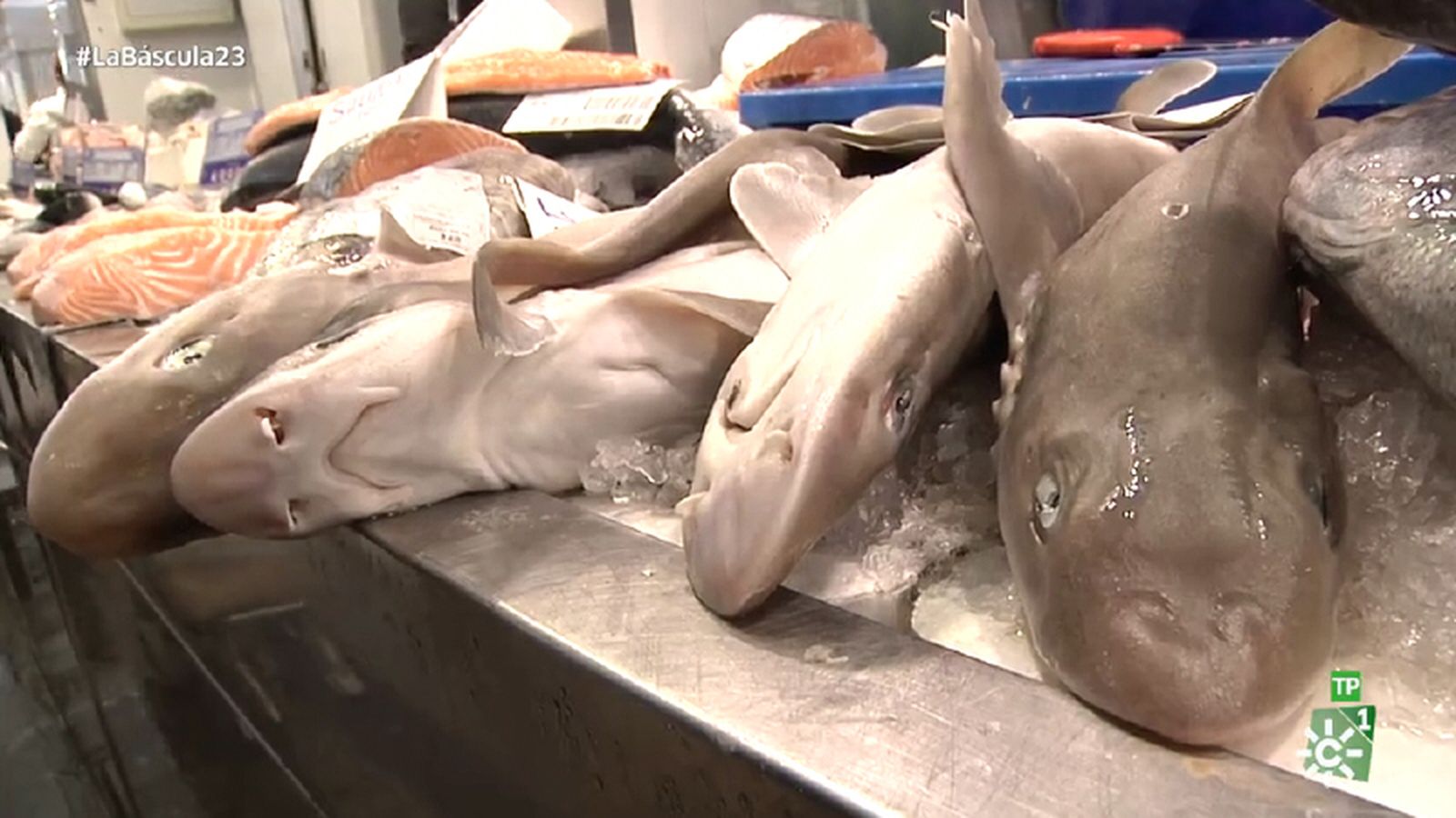 La Báscula Pescado