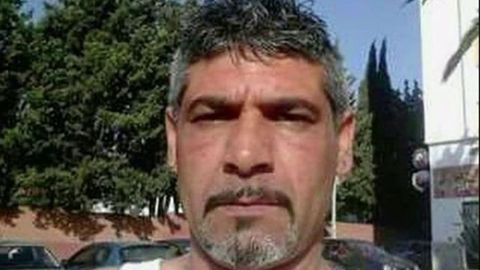 bernardo