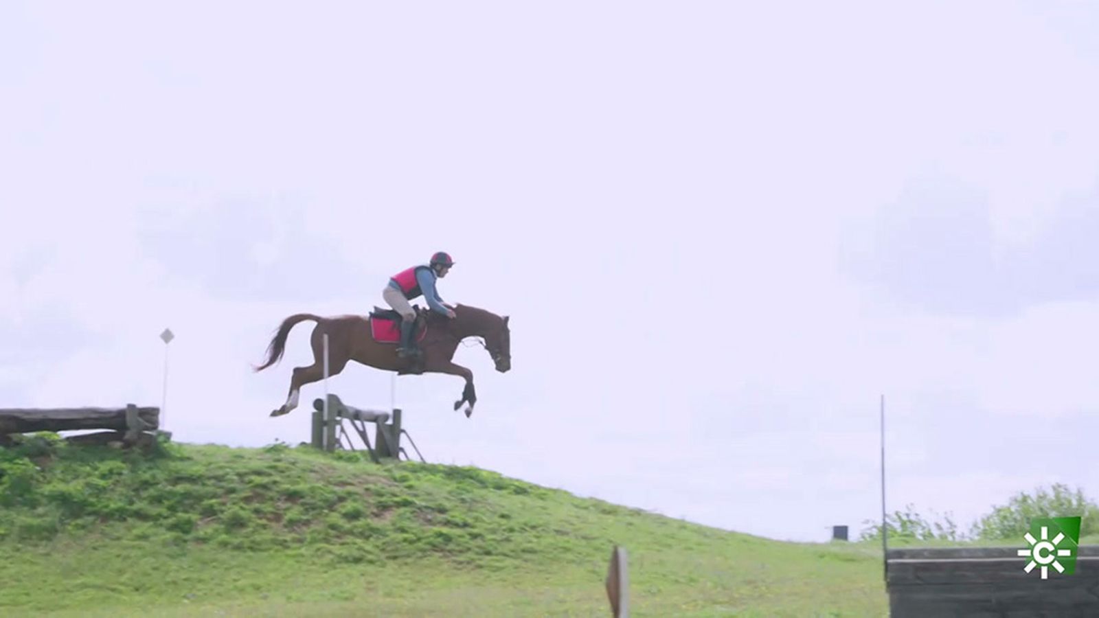 Los caballos atletas se preparan antes, durante y después del concurso completo