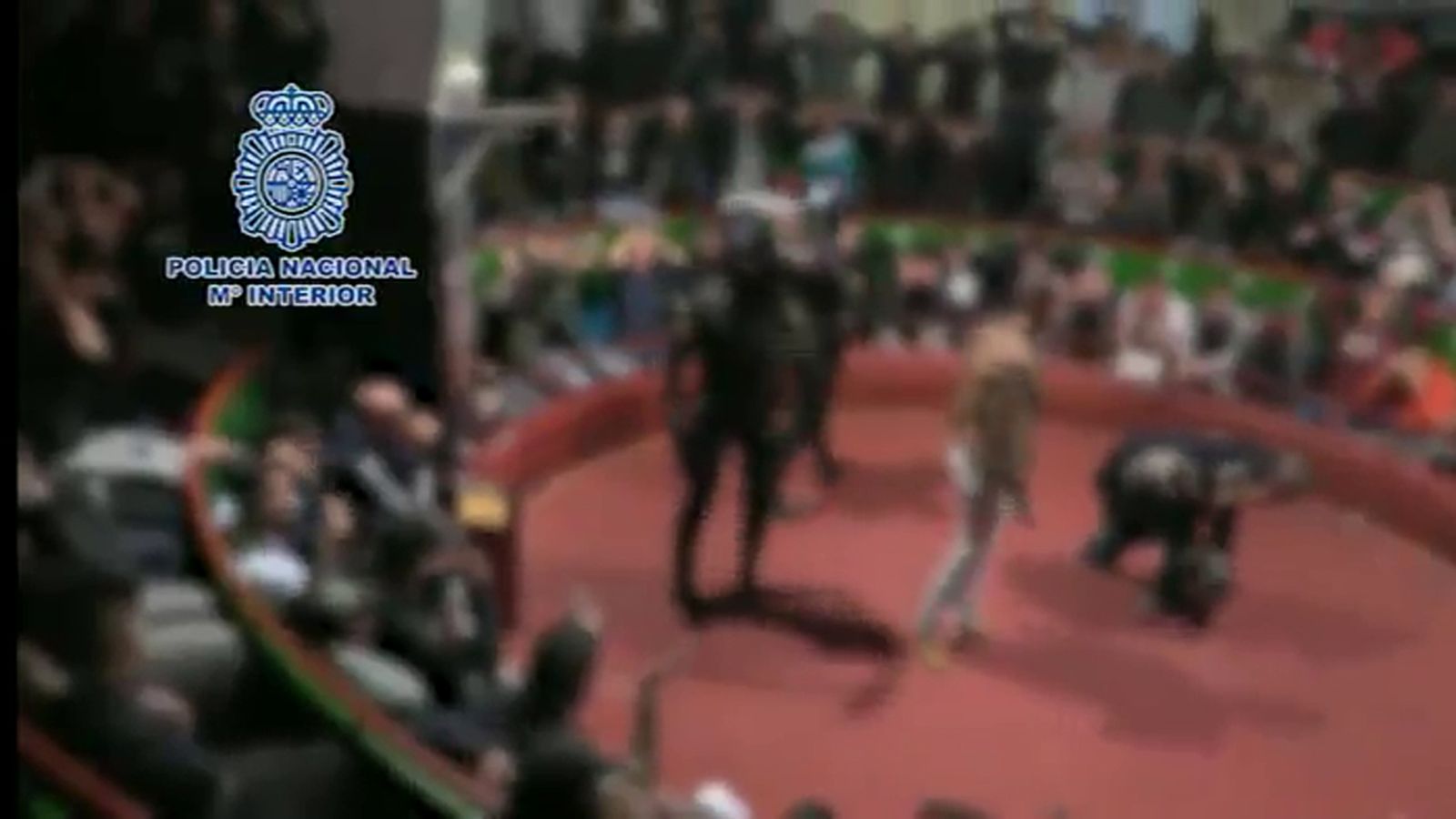 FOTO_PELEA