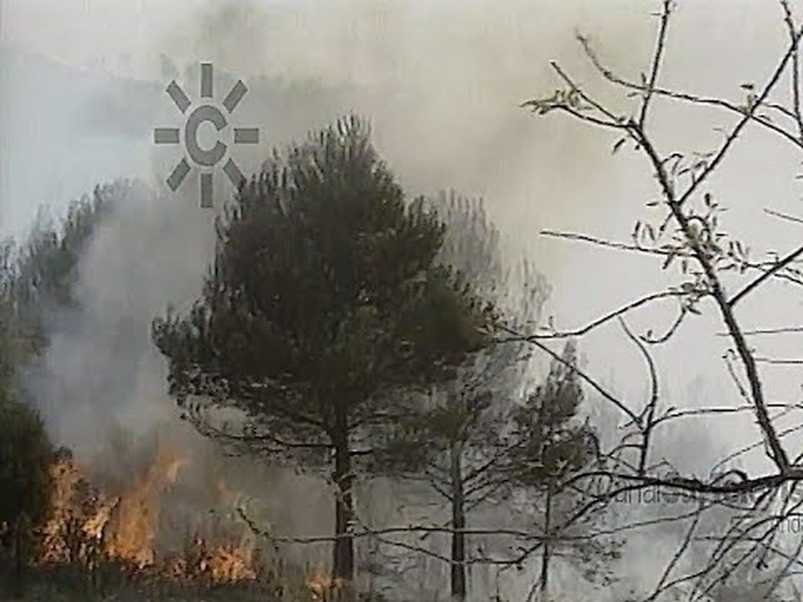 Incendio forestal en Grazalema: 5 trabajadores forestales del INFOCA muertos (1992)