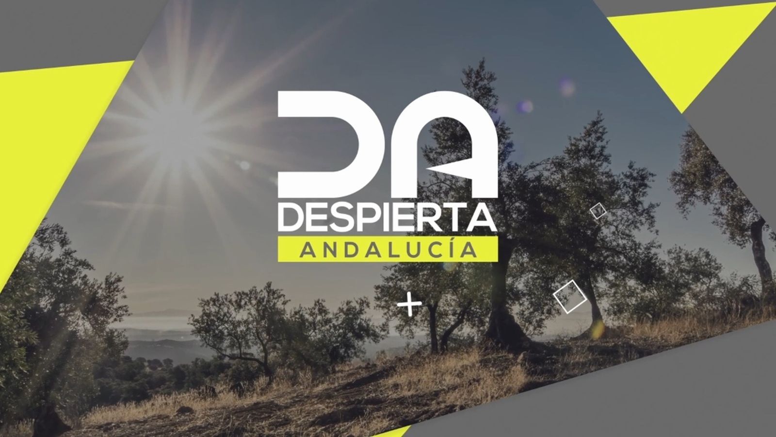 Logo Despierta Andalucía