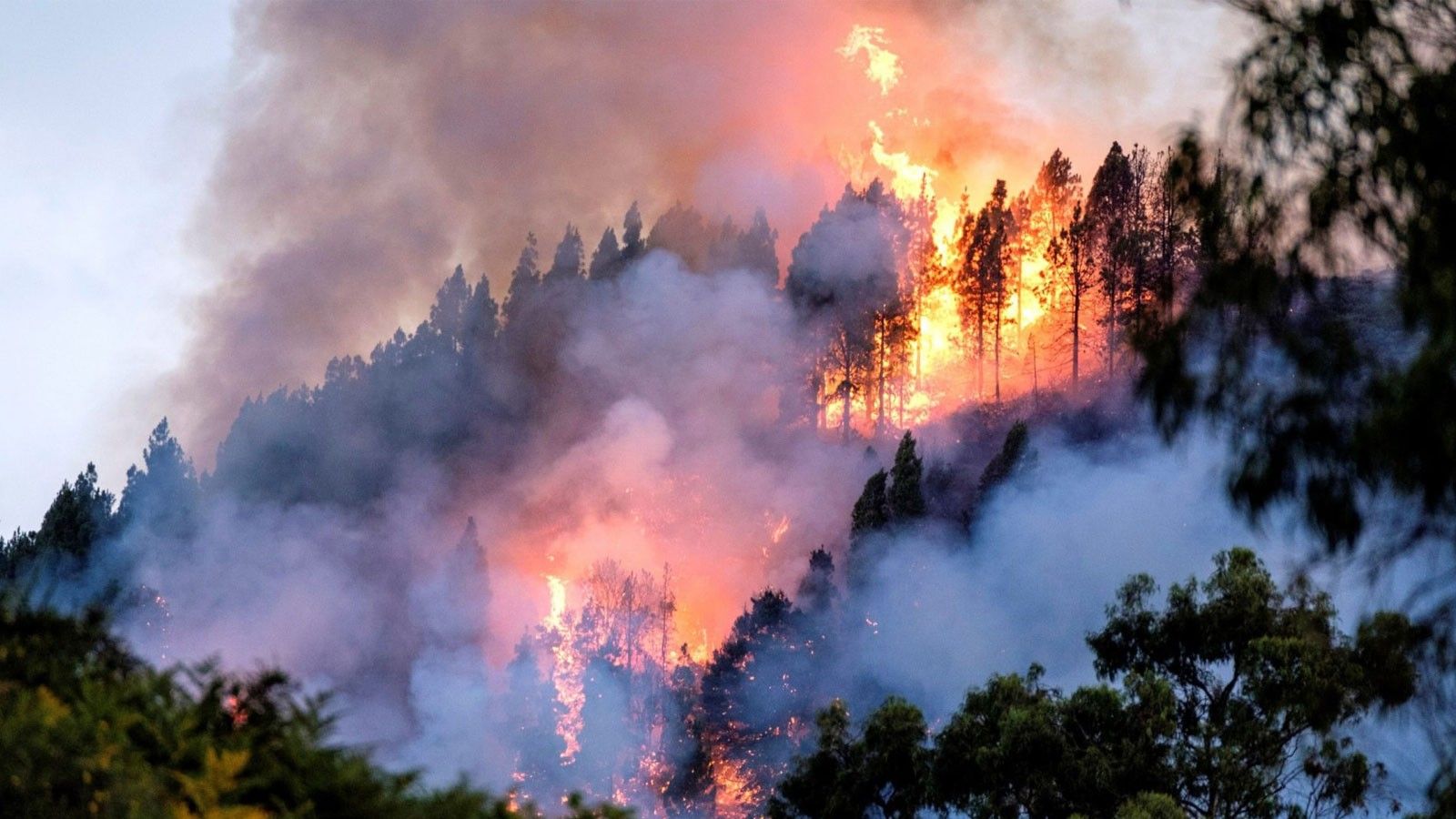 Predifire, el sistema andaluz que detecta los conatos de incendio
