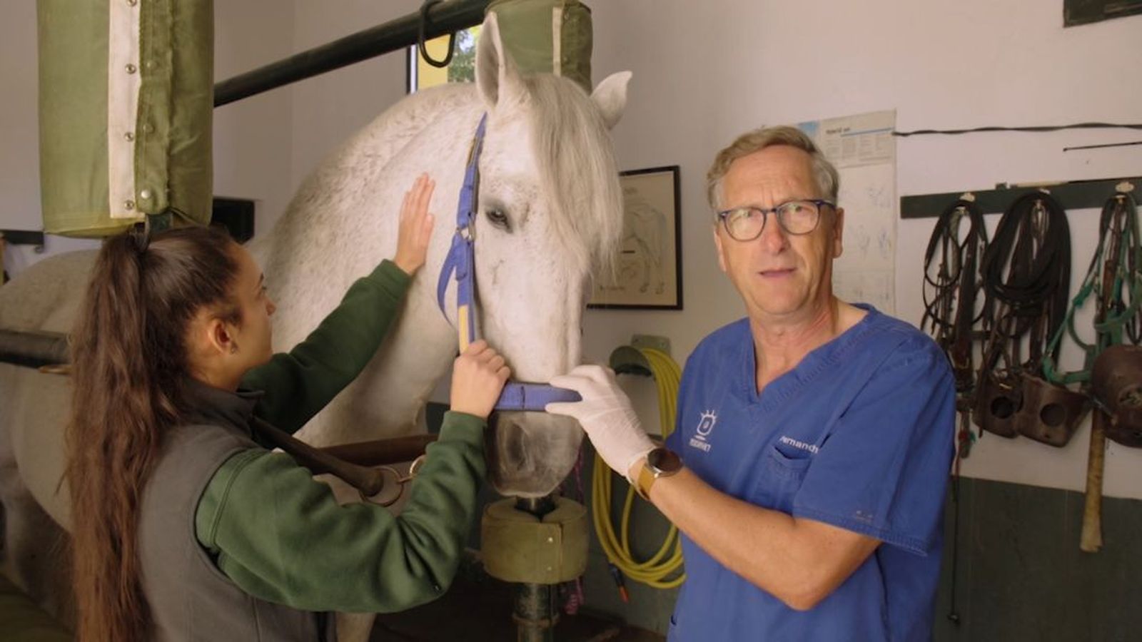 Cómo es el ojo y la visión de un caballo, con el veterinario Fernando Sanz