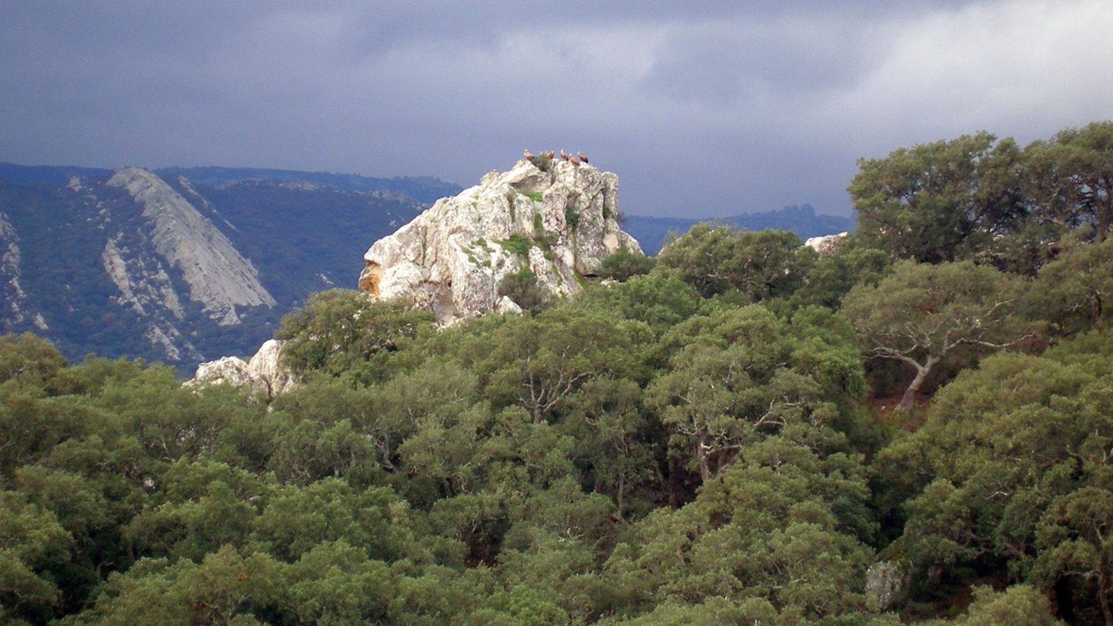 09/03/24 Andalucía es Naturaleza
