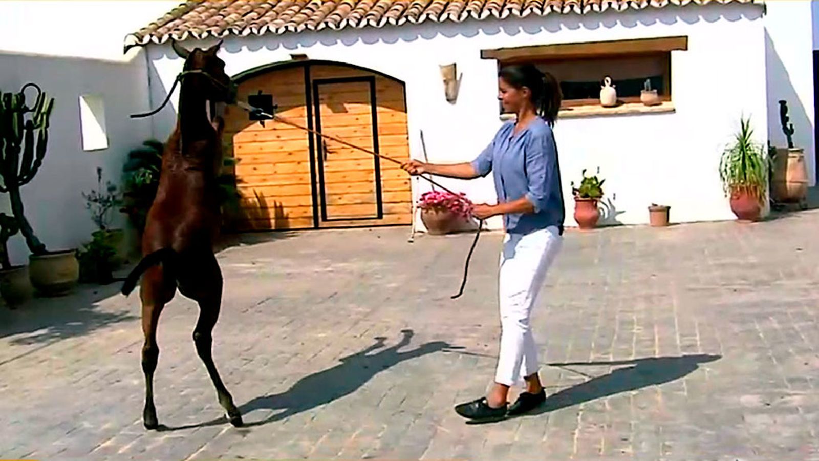 Lea y sus potros