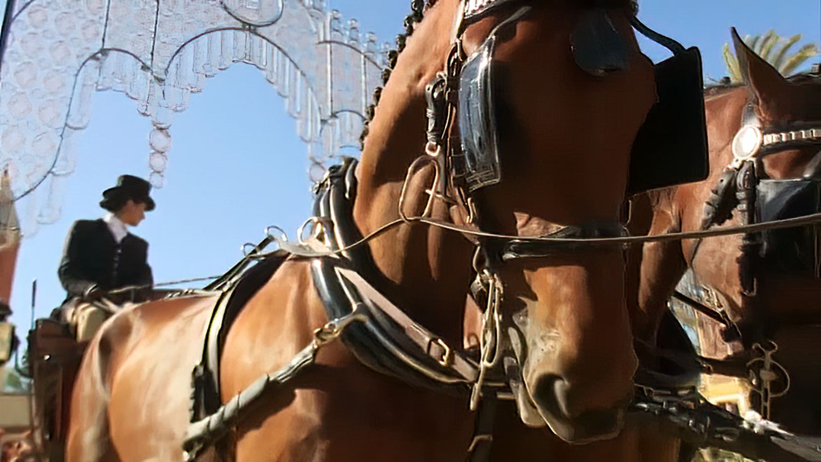 El caballo, el verdadero protagonista de la Feria de Jerez