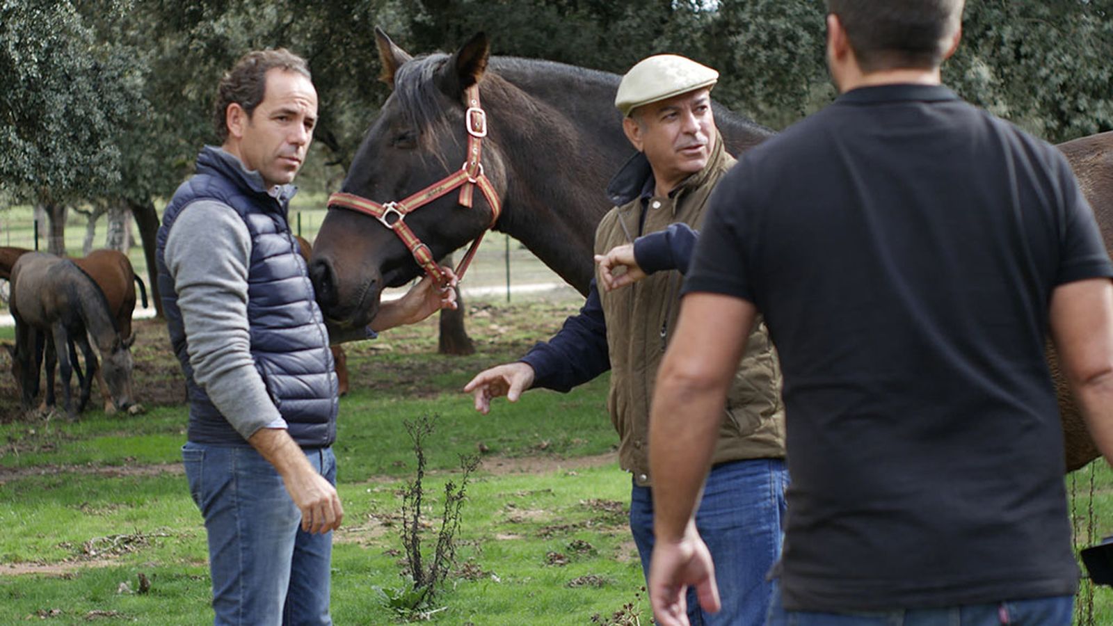 Audiencia, 10 diciembre (comu)