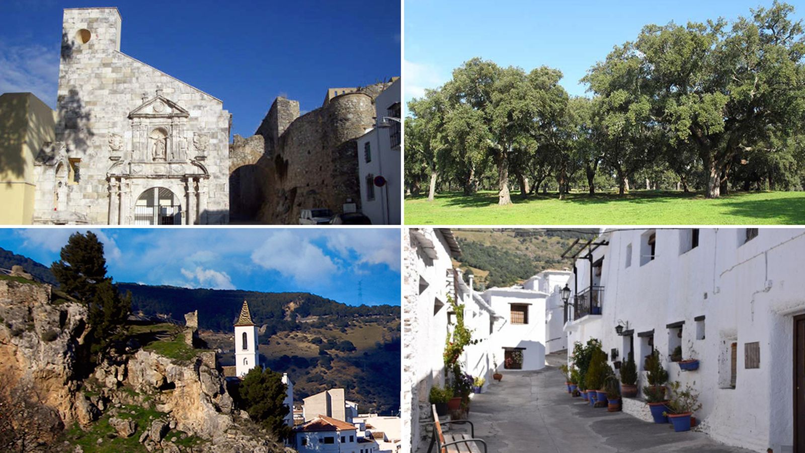 Comunicación Andalucía Nuestra Foto OK