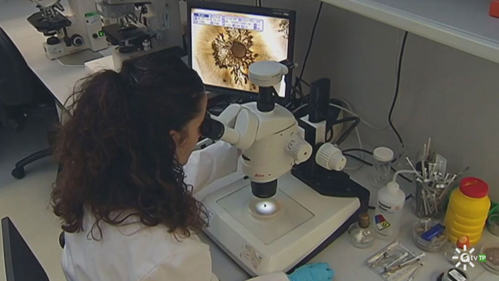 Los nanofármacos, nueva esperanza para los enfermos de cáncer