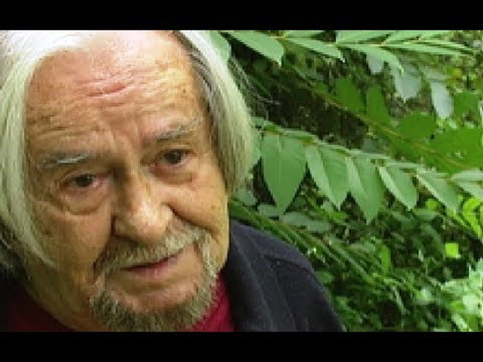 Carlos Edmundo de Ory, poeta y escritor, Hijo Predilecto de Andalucía | Centenario (1923 - 2023)