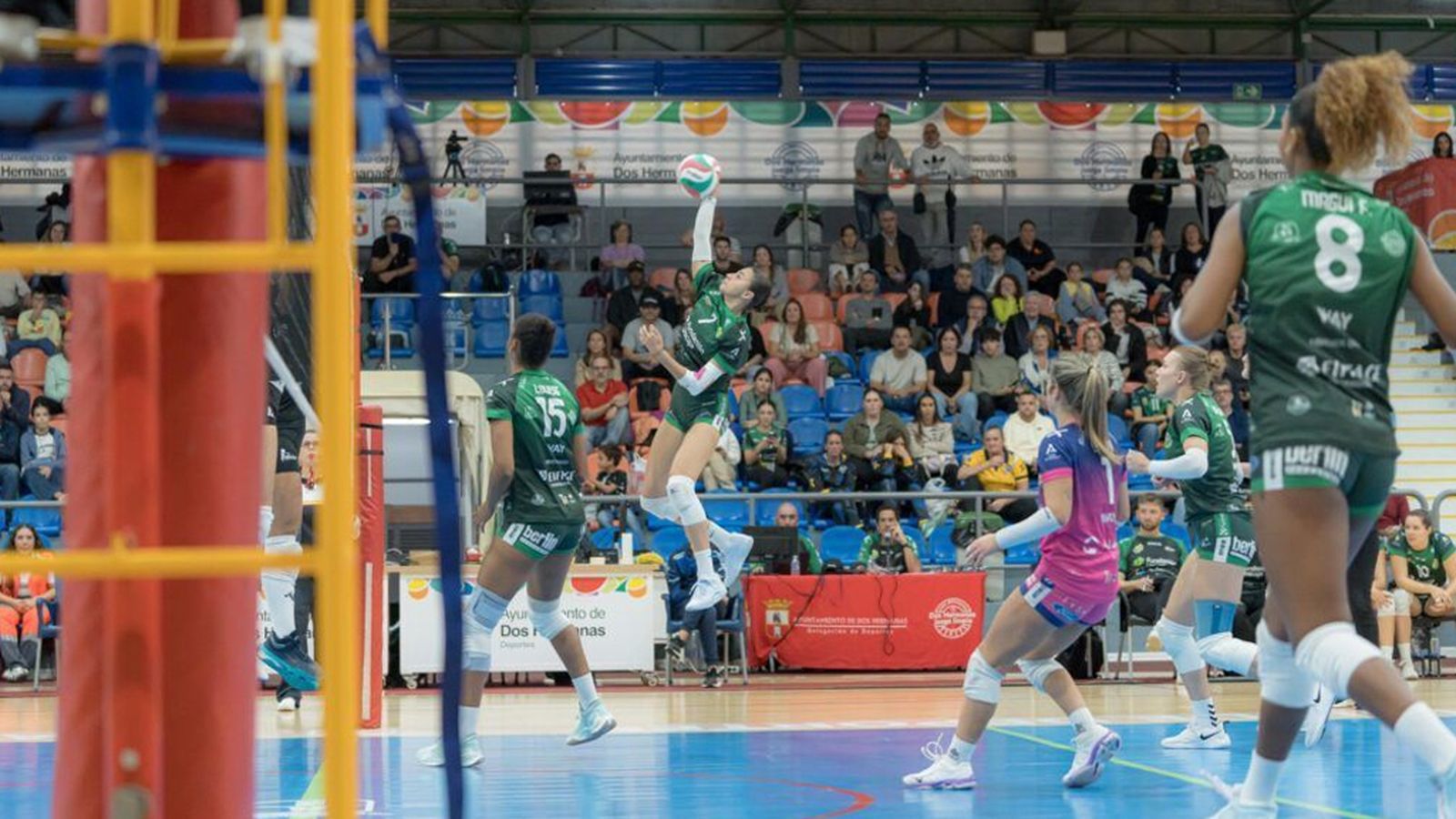 voleibol OK