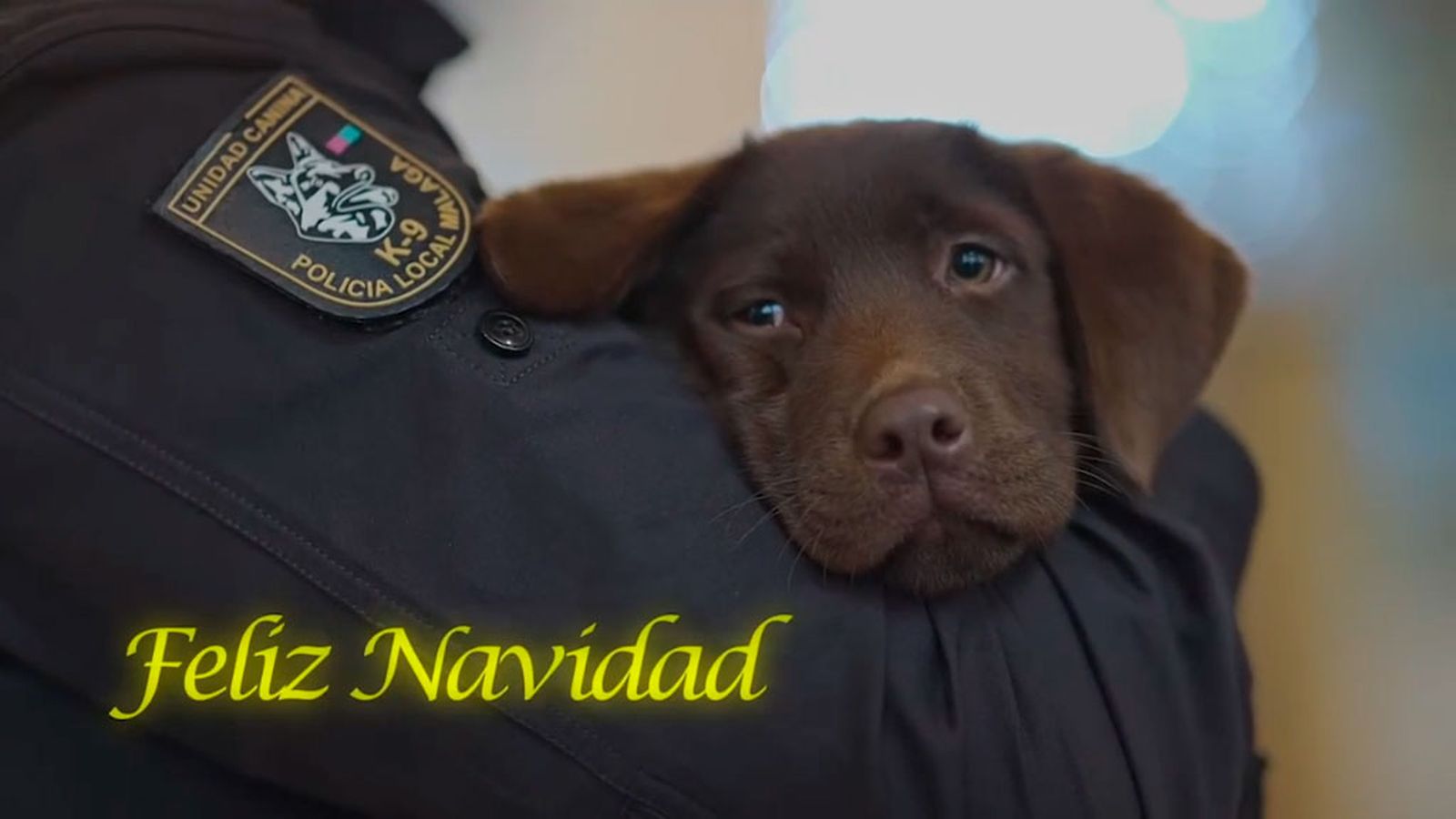 Keta,  la perrita de la policía local de Málaga que ha causado furor con su felicitación navideña