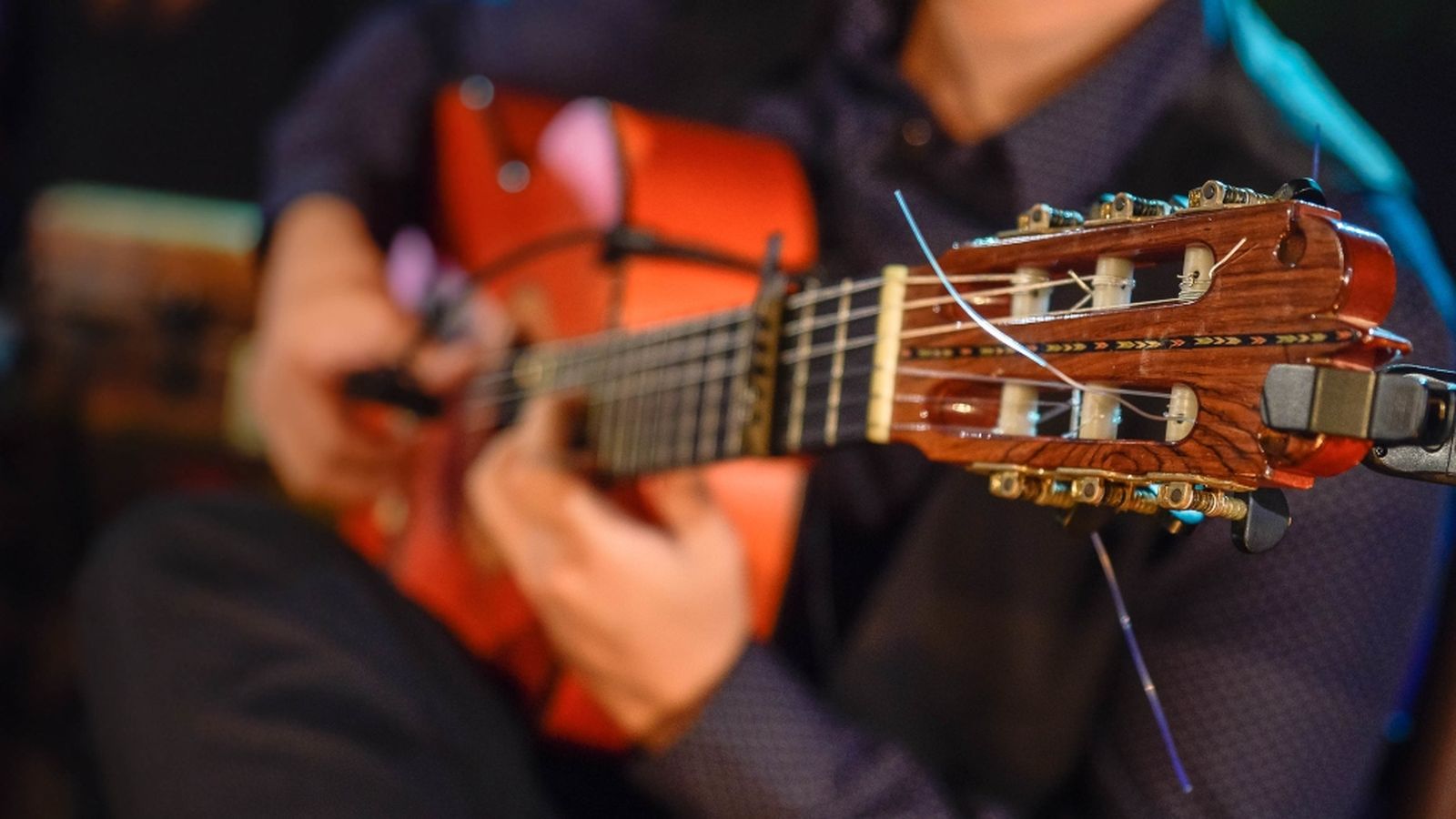 Flamenco 2