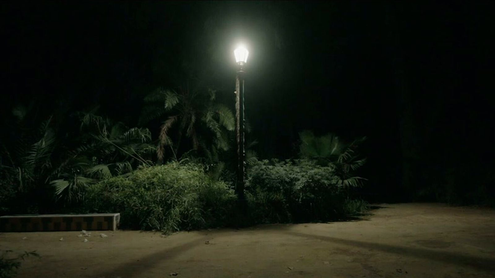 El parque de María Luisa de noche, una jungla sin ley