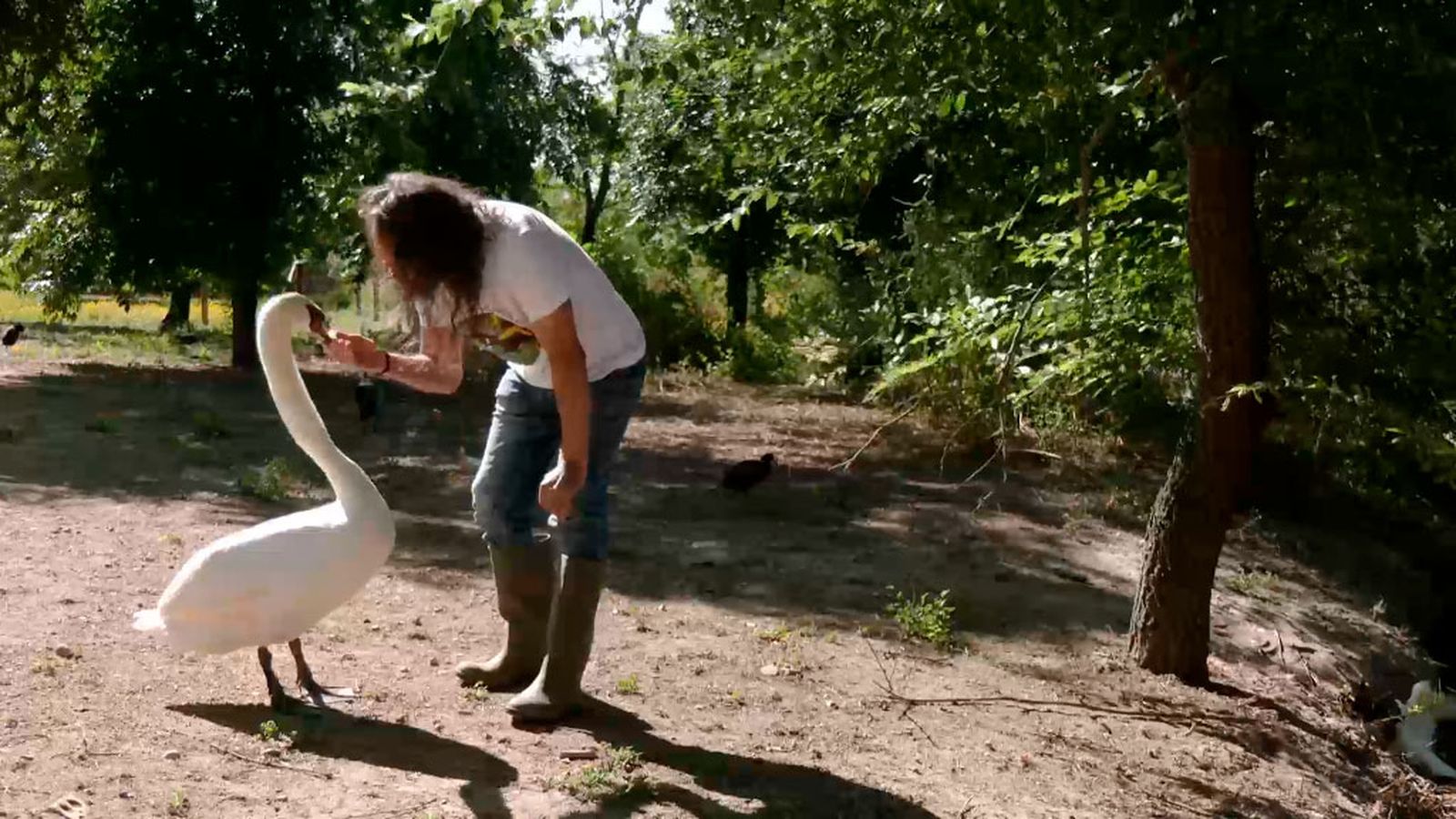 La Cañada de los Pájaros, una paraíso de aves con un futuro incierto