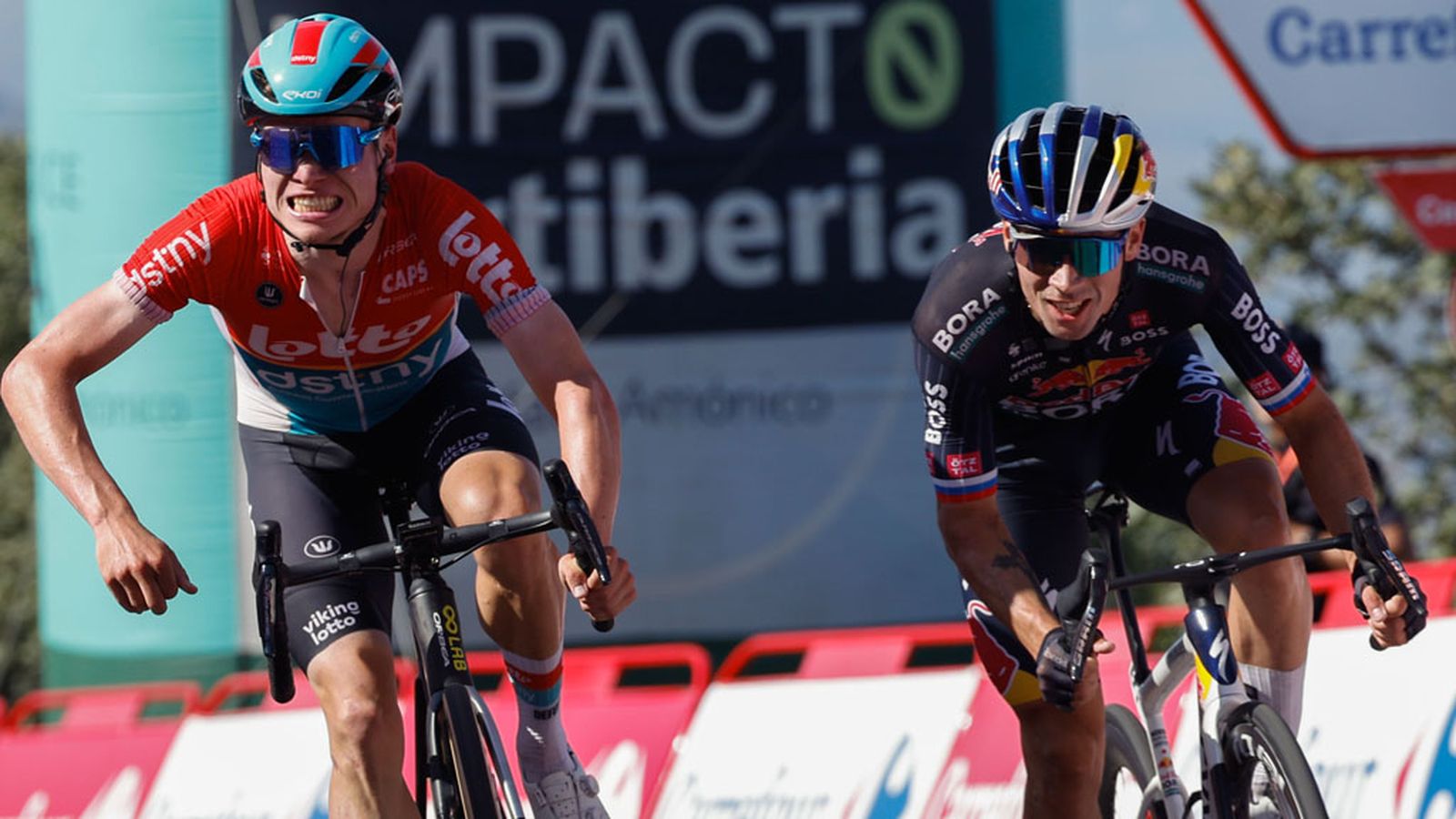 Roglic