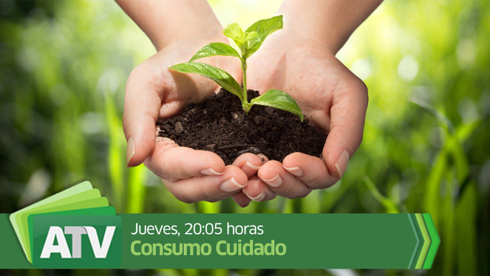 17Consumo800