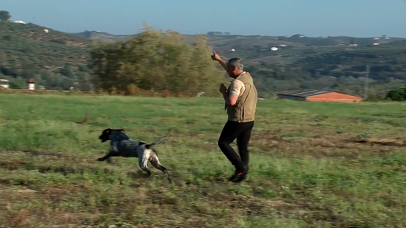 Cómo iniciar a un perro de caza en la búsqueda cruzada