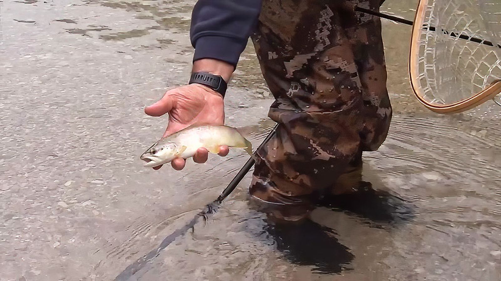 Pesca de truchas con la Sociedad de Pescadores de Úbeda en el inicio de temporada