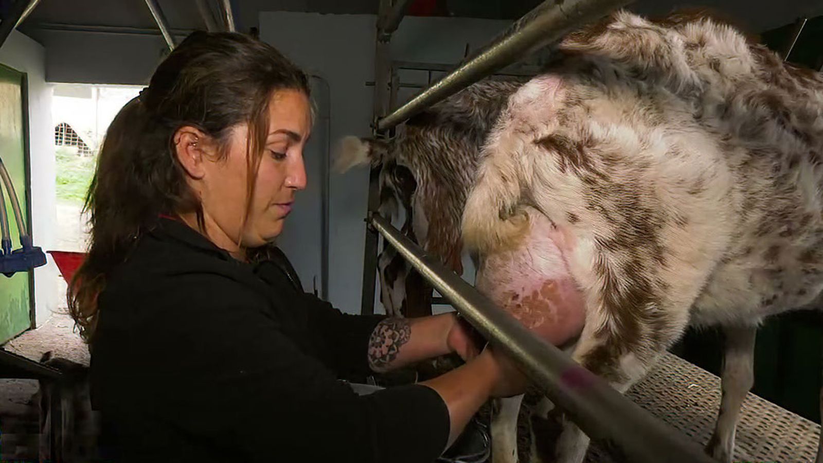 En Castañuelo dejó su trabajo como camarera para involucrarse en el trabajo con animales