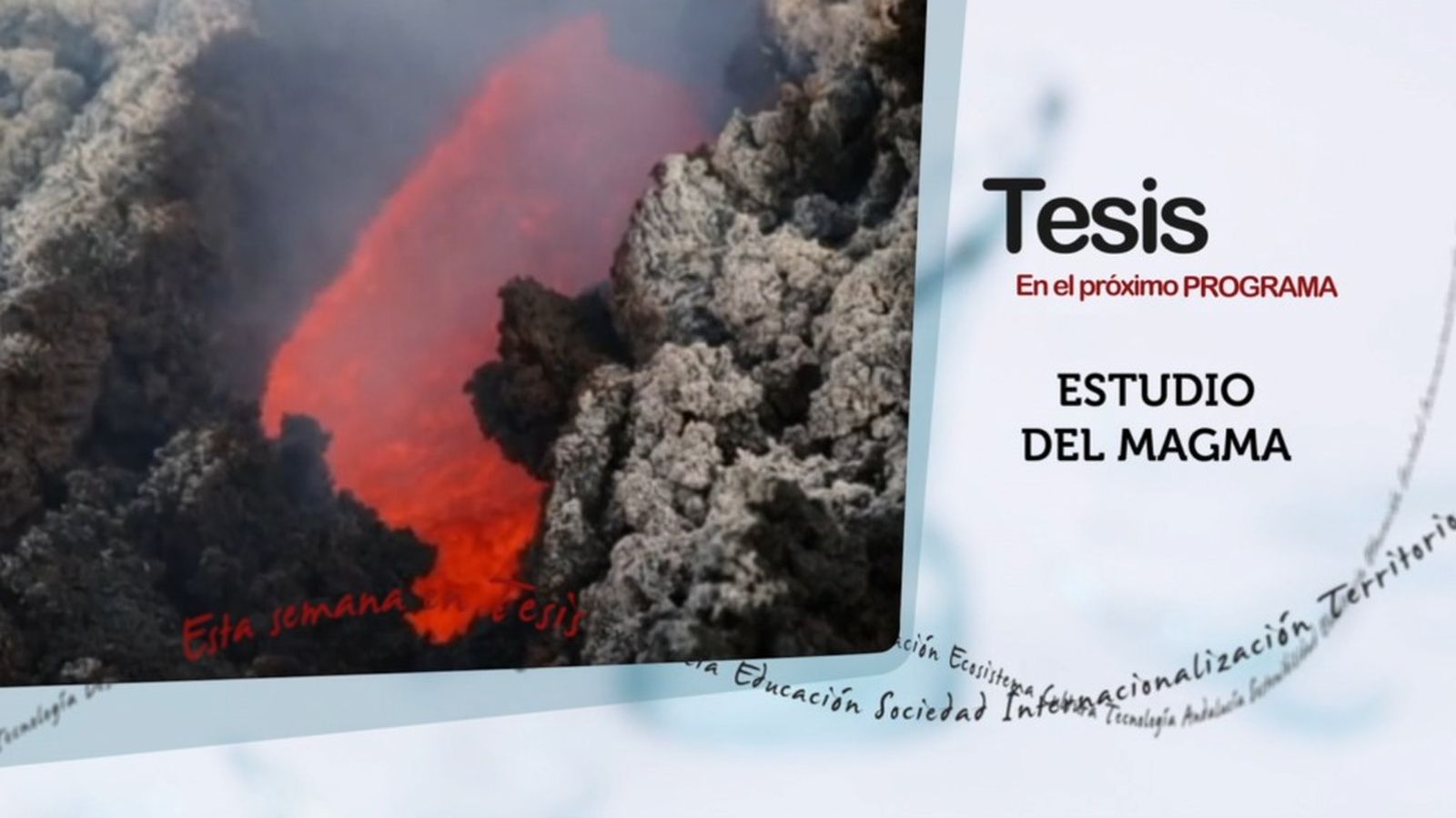 Magma tesis