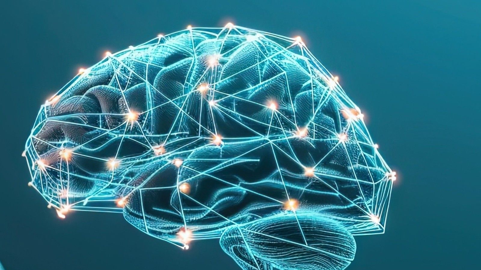 cerebro ia