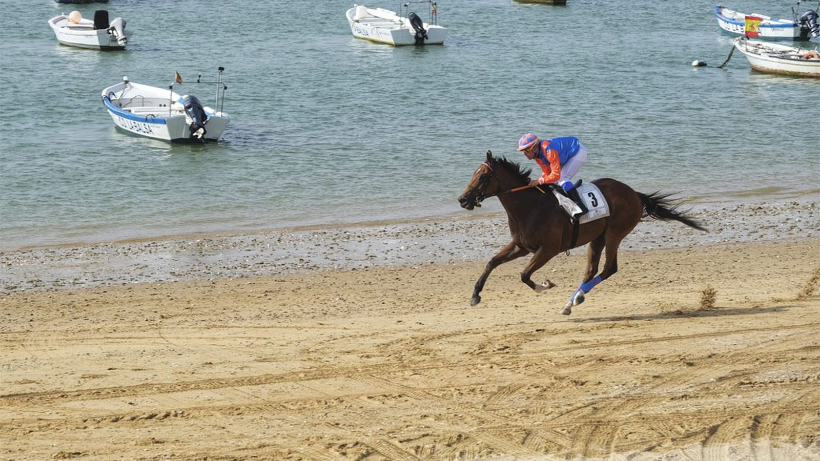 Comunicación Carreras de Caballos de Sanlúcar Foto 1