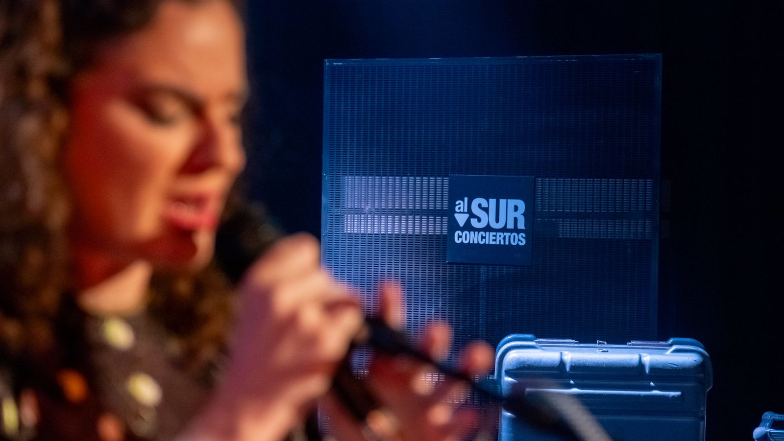Comunicación Al Sur Conciertos 2
