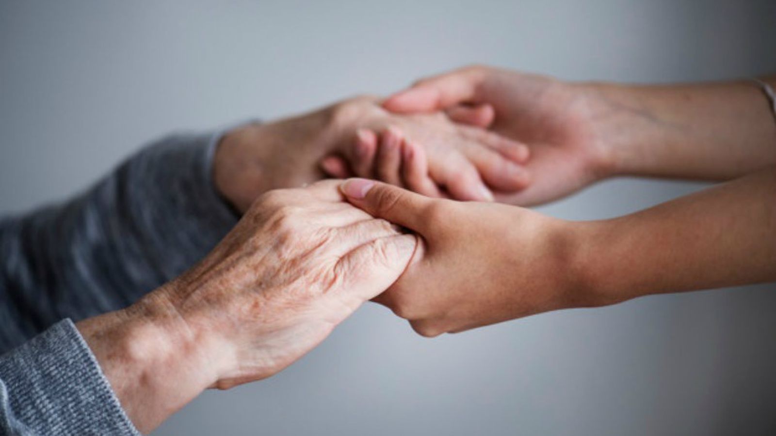 solidarios