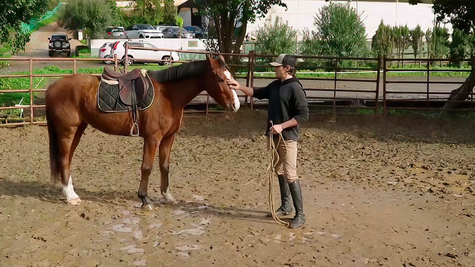 La importancia de la psicología en la doma de los caballos