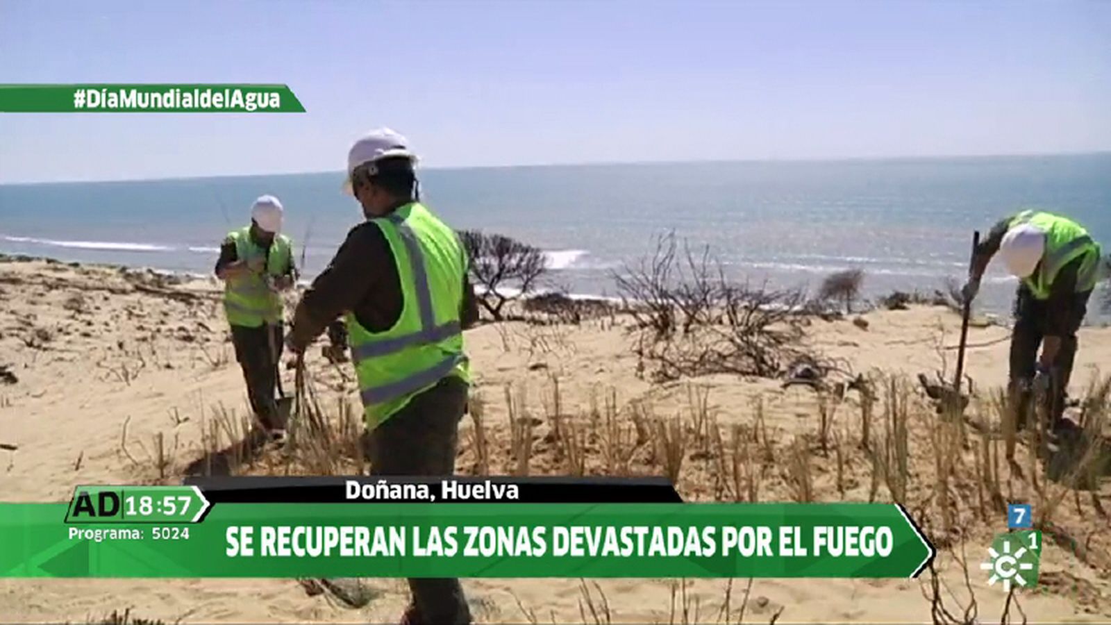 Doñana después de las lluvias