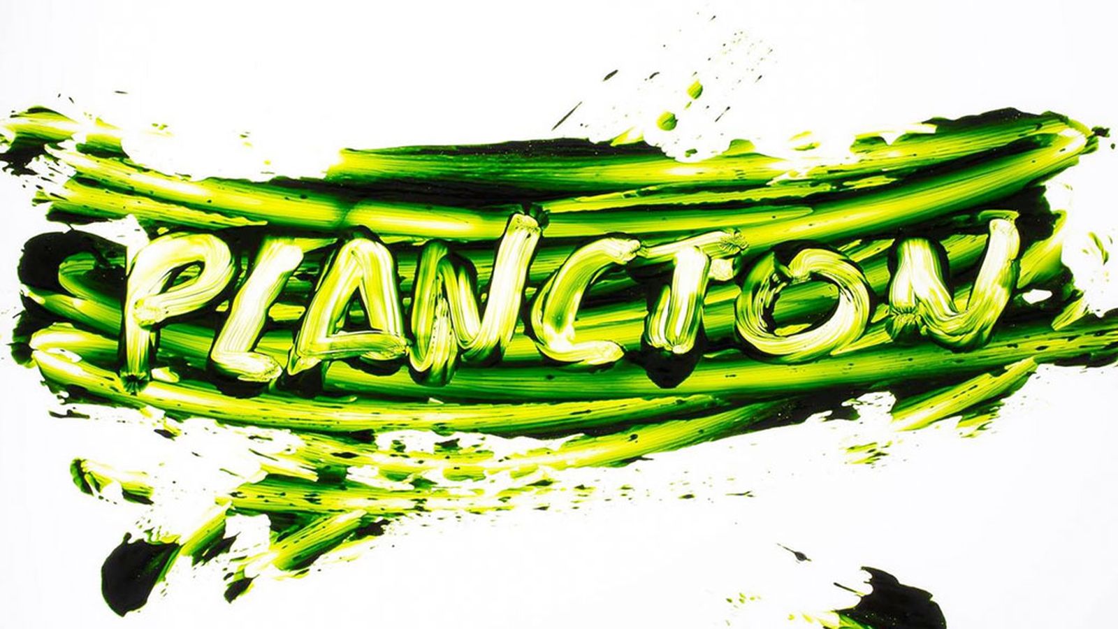 Plancton