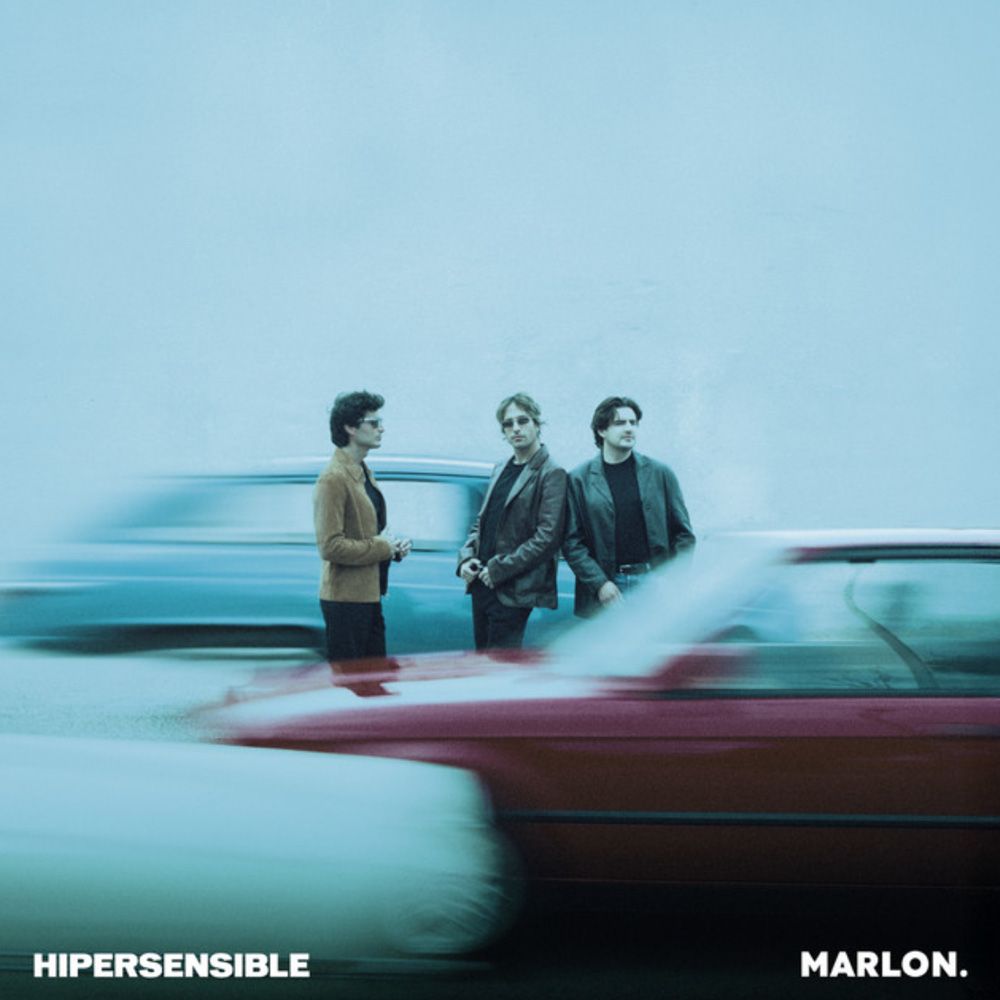 Marlon   Hachiko 1000x1000