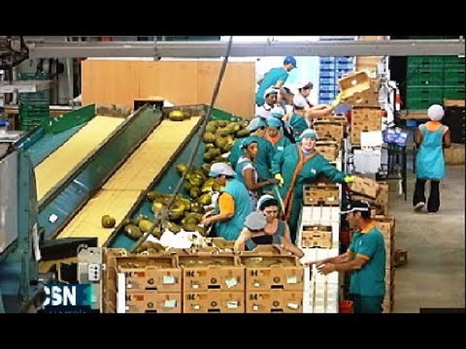 Unión de ECOHAL de Andalucía y  COEXPHAL, frutas y hortalizas de Almería